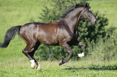 Fotka se otevře v novém okně