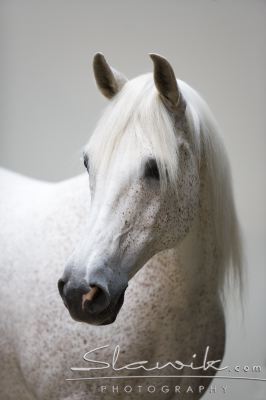 Fotka se otevře v novém okně