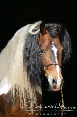 Fotka se otevře v novém okně